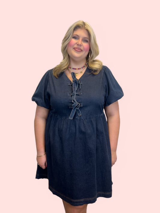 Maggie Denim Dress Curvy